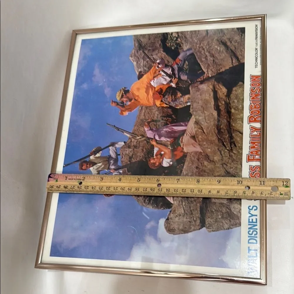 Walt Disney Swiss Family Robinson 11 X 14 In Framed Wall Art 1968 Technicolor
